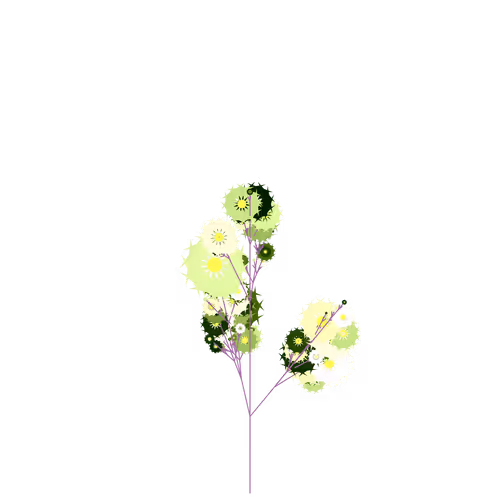 Nubloomfractal
