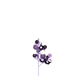 Dim Dewberry