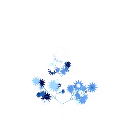 Eagle Tulsi