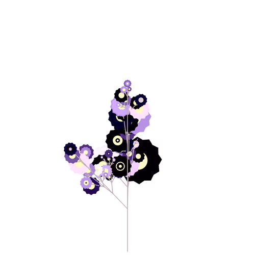 Nubloomfractal