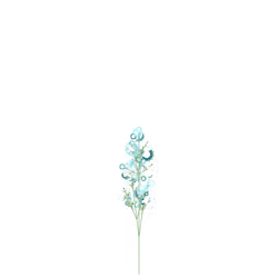 Aromatic Parsnip