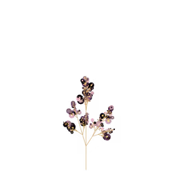 Joyful Rye