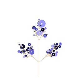Wild Sunflower