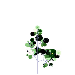 Creeping Bindweed