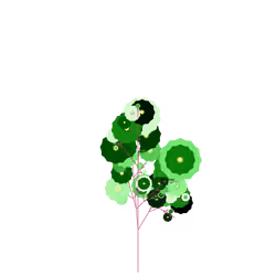 Candy Clove