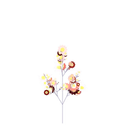 Marsh Cress