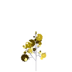 Cave Tulsi