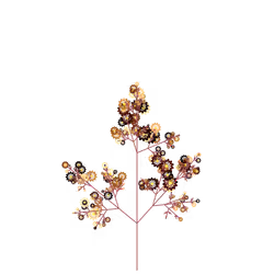 Ancestor Cress