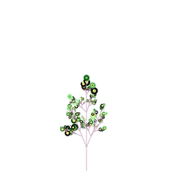 Hidden Thyme