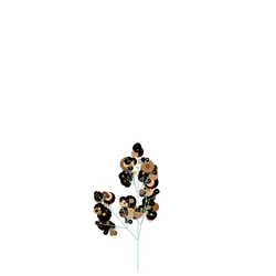Blue Coneflower
