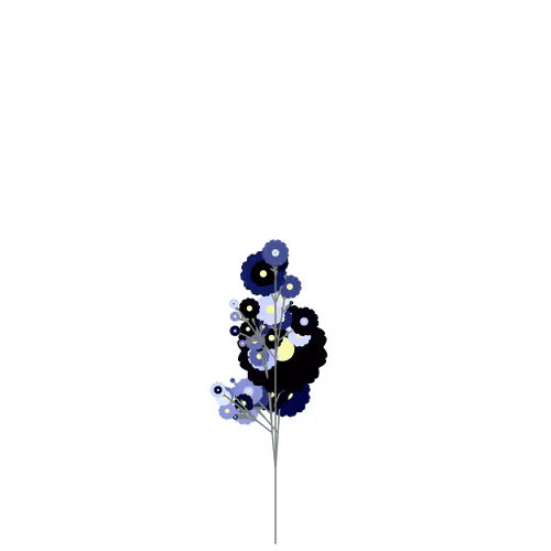 Nubloomfractal