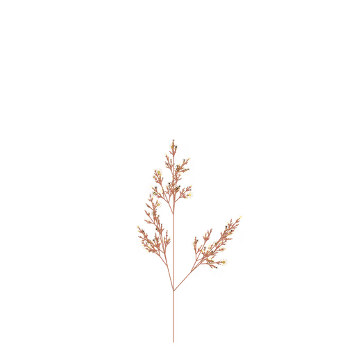 Nubloomfractal