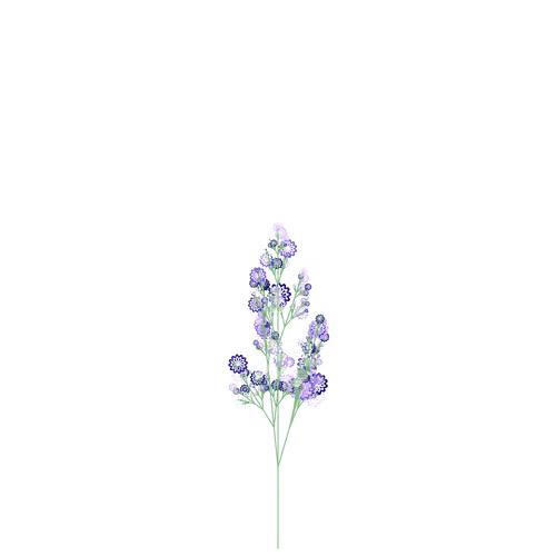 Hollow Fumewort