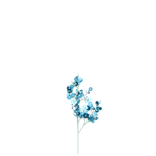 Nubloomfractal