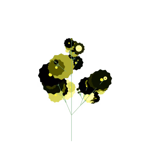 Nubloomfractal