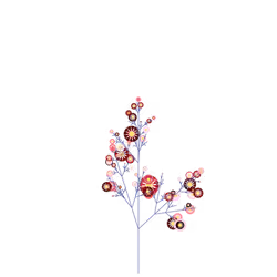 Dwarf Cotton