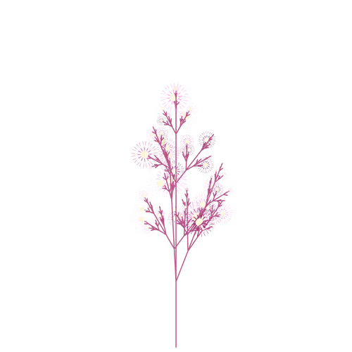 Nubloomfractal