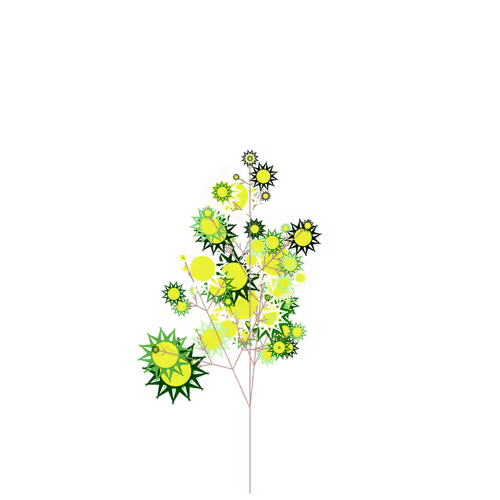 Nubloomfractal