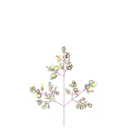 Wild Bite