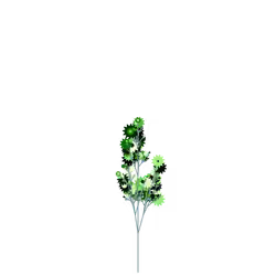 Deadly Feverfew