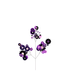 Black Colwort