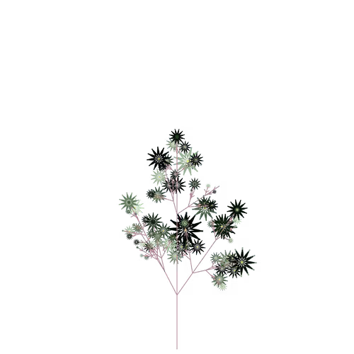 Humble Lilac