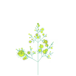 Sad Nettle