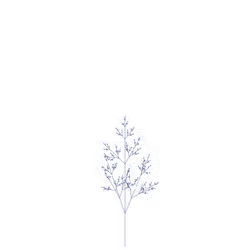 Silent Thousand-leaf