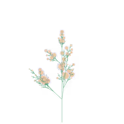 Tiny Juniper