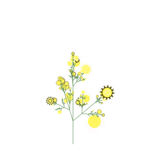 Nubloomfractal