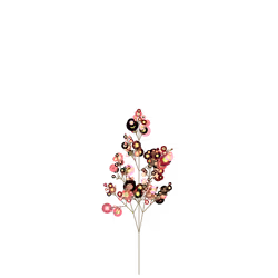 Heart Vine
