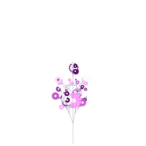 Nubloomfractal