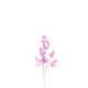 3850