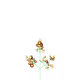 3975