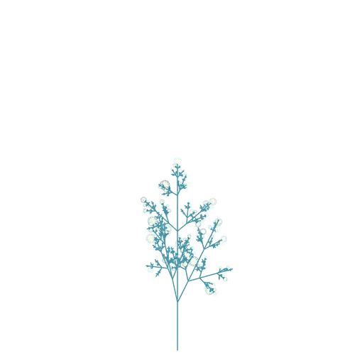 Poisonous Grapevine
