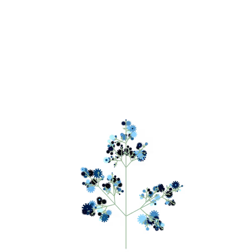Nubloomfractal