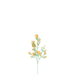Spicy Parsnip