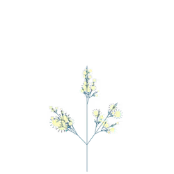 Ashen Mint