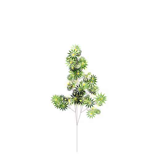 Nubloomfractal