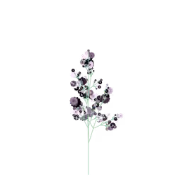 Cold Sage