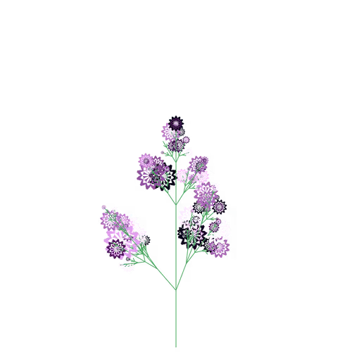 Nubloomfractal