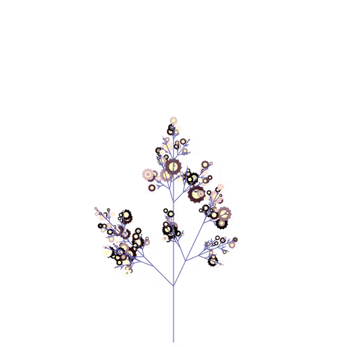 Nubloomfractal