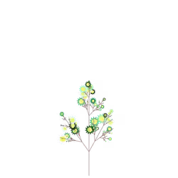 Pleasant Bush