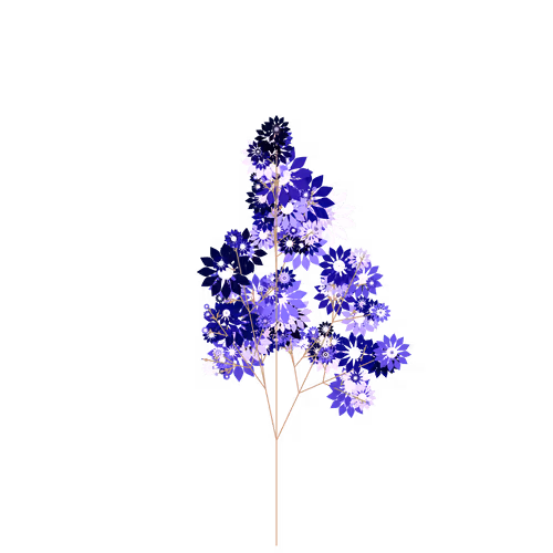 Nubloomfractal