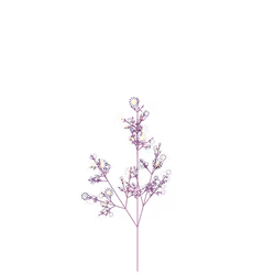 Mage's Wintercress