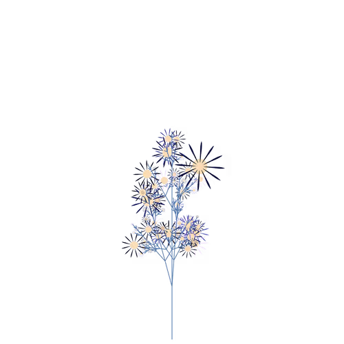 Nubloomfractal
