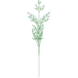 Venomous Rantipole