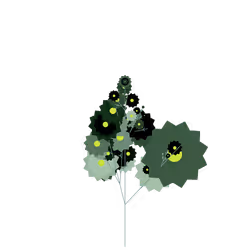 Mercy's Dewberry