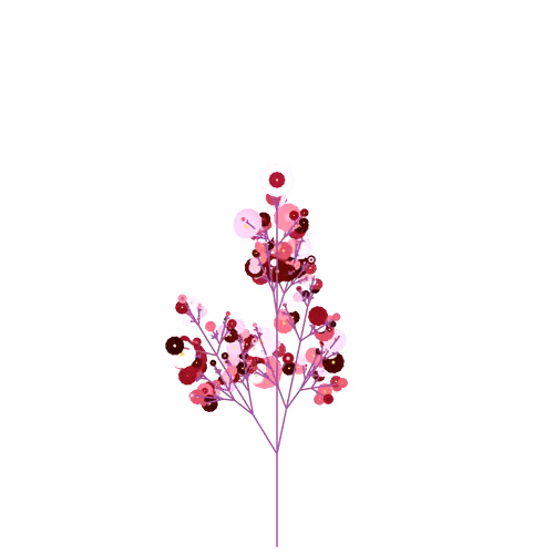 Star Poisonflower