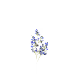 Rotten Itchweed
